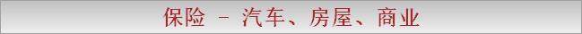 保险 - 汽车、房屋、商业